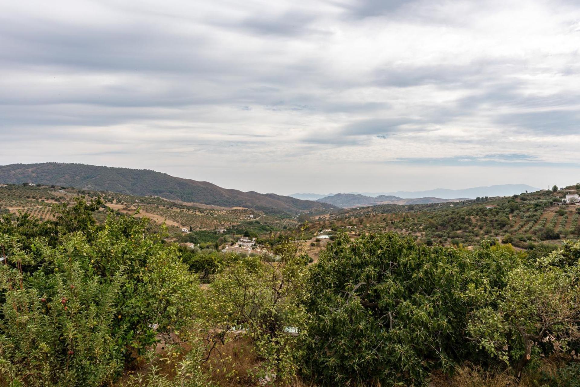 Malagasuite Cortijo Robles Casarabonela Kültér fotó