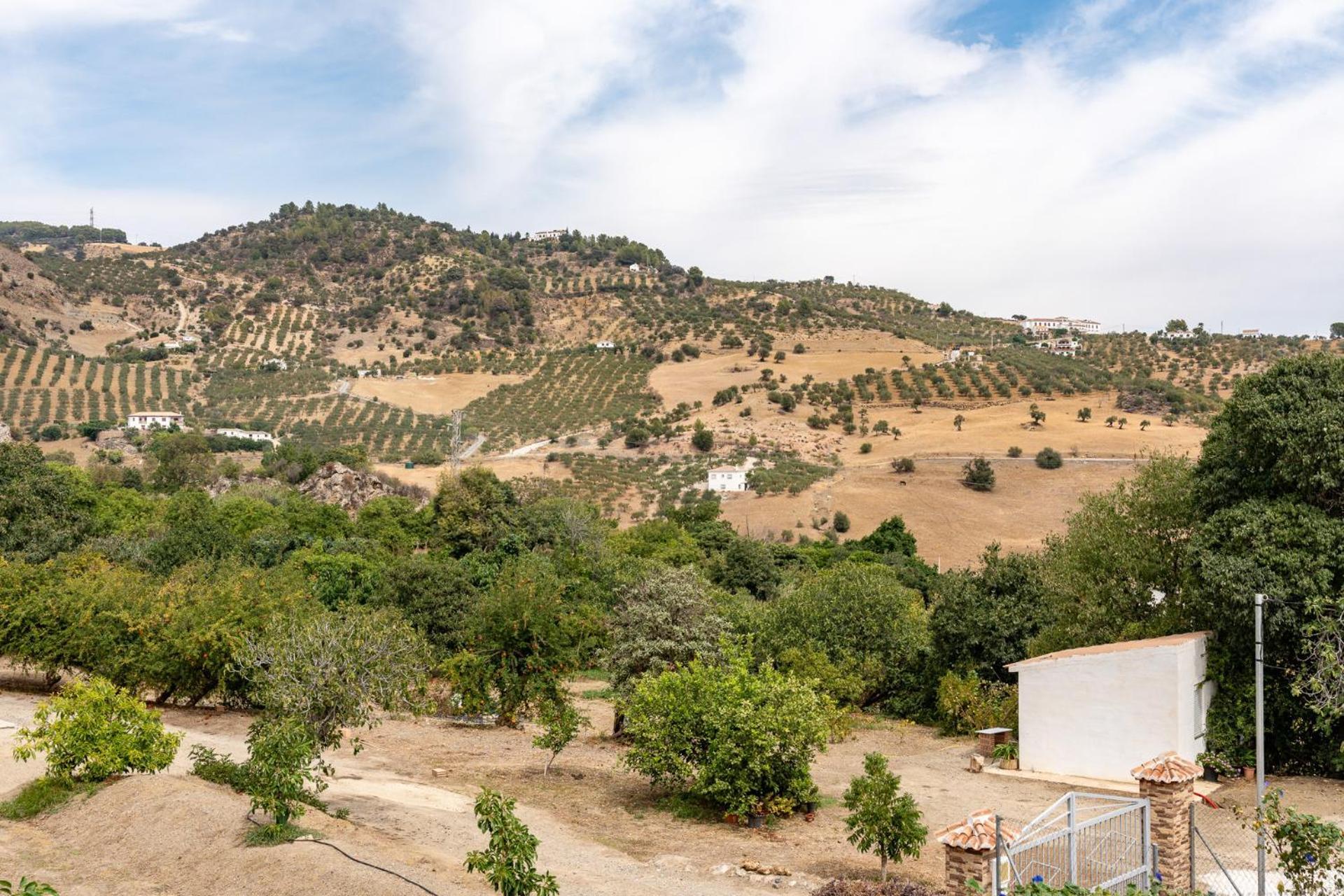 Malagasuite Cortijo Robles Casarabonela Kültér fotó