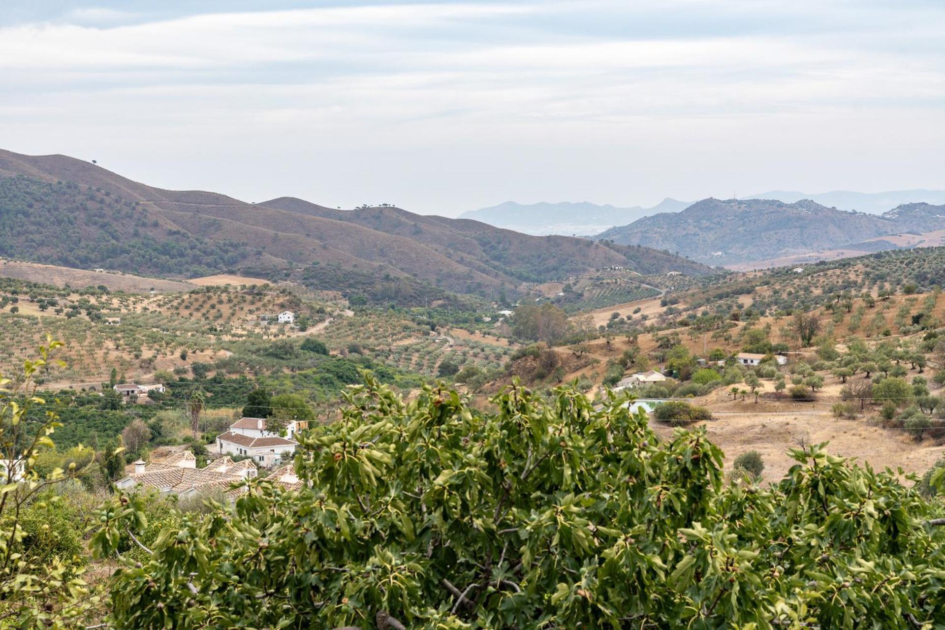 Malagasuite Cortijo Robles Casarabonela Kültér fotó